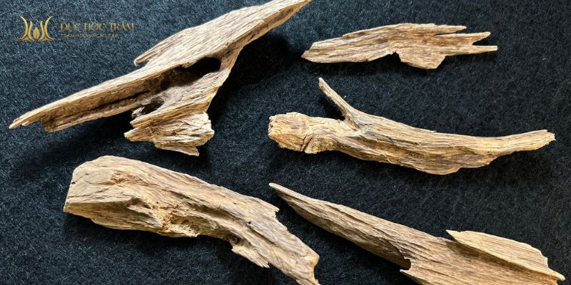 Hiểu rõ từng loại trầm giúp bạn tránh nhầm lẫn và chọn đúng giá trị sản phẩm