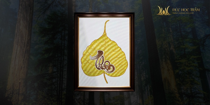 Tránh ánh nắng trực tiếp, vệ sinh nhẹ nhàng để bảo toàn hương và cấu trúc