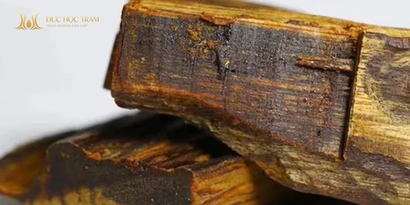 Kỳ nam có giá cực cao và không có mức cố định do độ hiếm