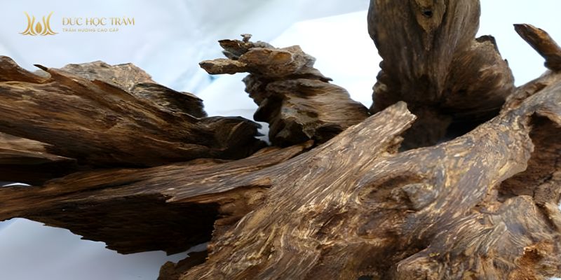 Kỳ nam được xem là vật quý hiếm có giá trị sưu tầm và tinh thần cao