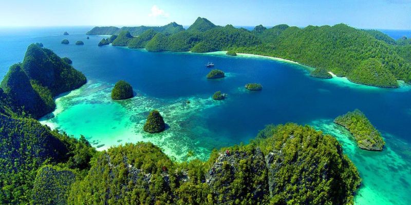 Vùng rừng nguyên sinh rộng lớn ở Indonesia, cái nôi tạo nên trầm hương tự nhiên