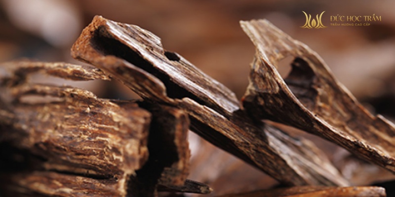 Phần gỗ đậm đặc, giàu tinh dầu và hương thơm, kết tinh từ cơ chế tự vệ của cây dó bầu