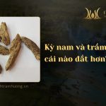 Kỳ nam và trầm hương cái nào đắt hơn? So sánh chi tiết