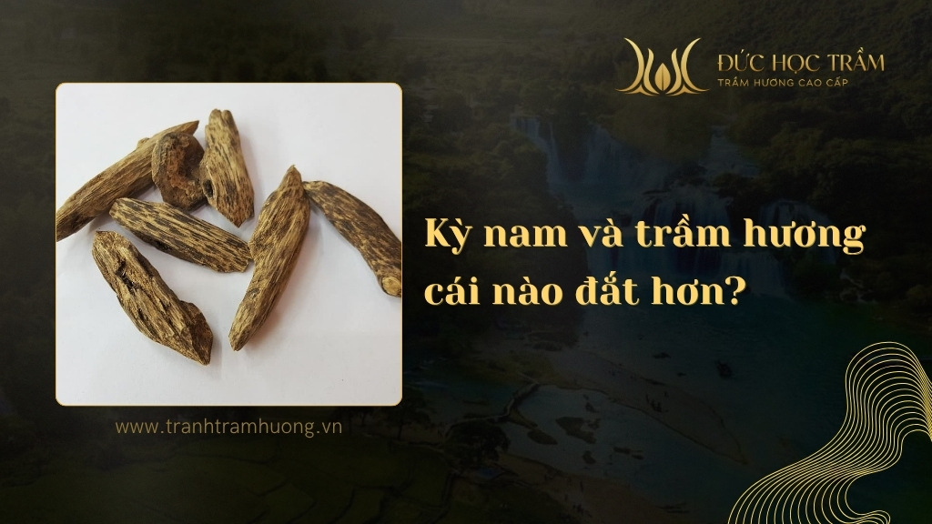 Kỳ nam và trầm hương cái nào đắt hơn? So sánh chi tiết