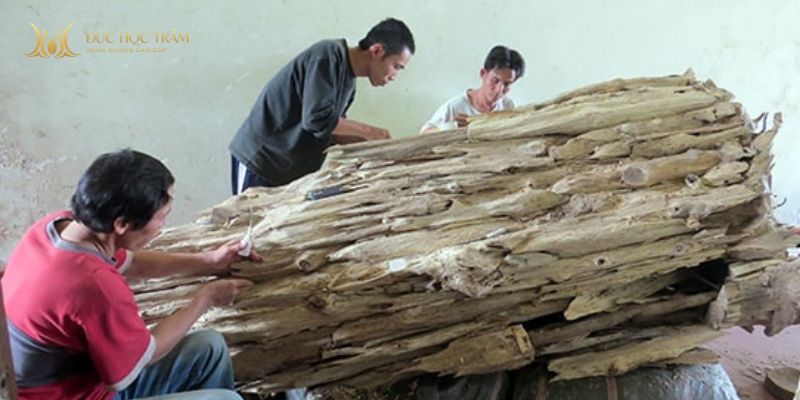 Trầm Quảng Nam đậm, sâu và có chiều dày mùi