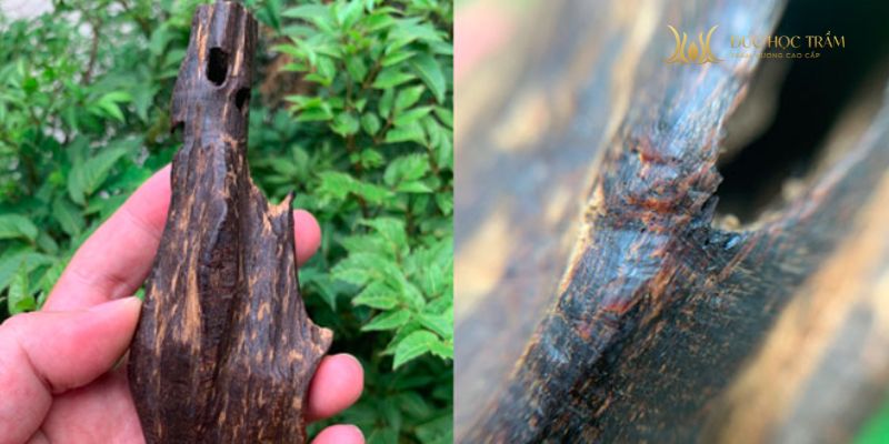 Độ chìm chỉ mang tính tham khảo, cần kết hợp nhiều yếu tố khác