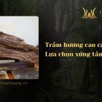 Các loại trầm hương cao cấp - Lựa chọn xứng tầm đẳng cấp