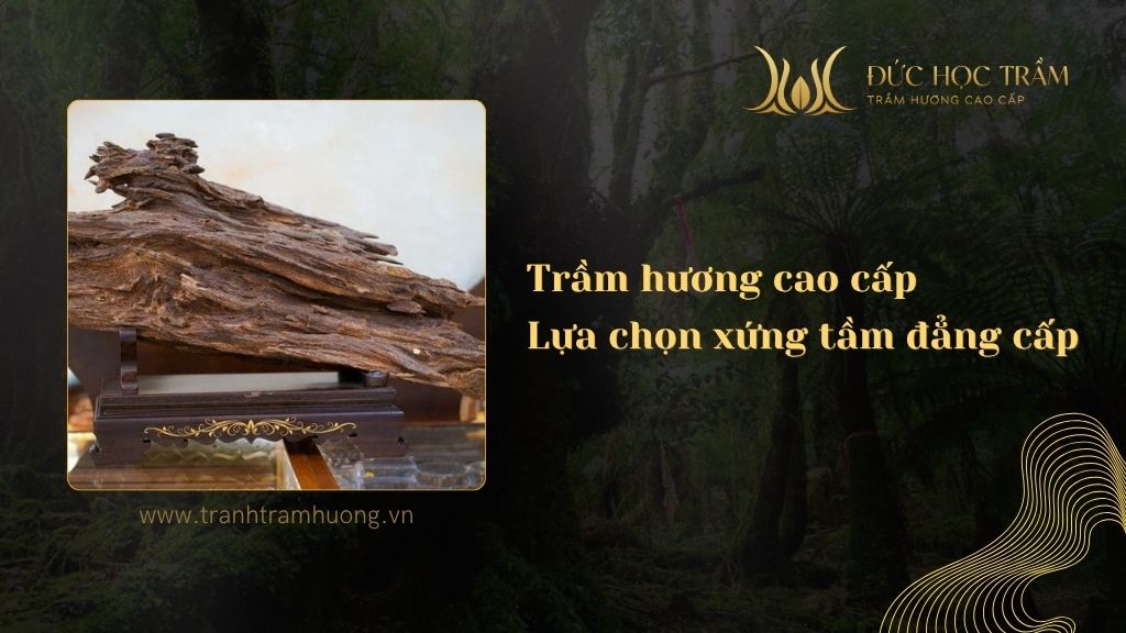 Các loại trầm hương cao cấp - Lựa chọn xứng tầm đẳng cấp