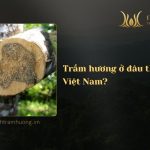 Trầm hương ở đâu thơm nhất Việt Nam?