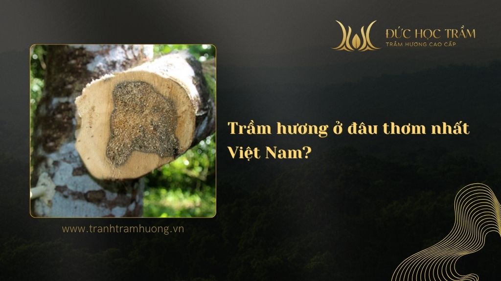 Trầm hương ở đâu thơm nhất Việt Nam?