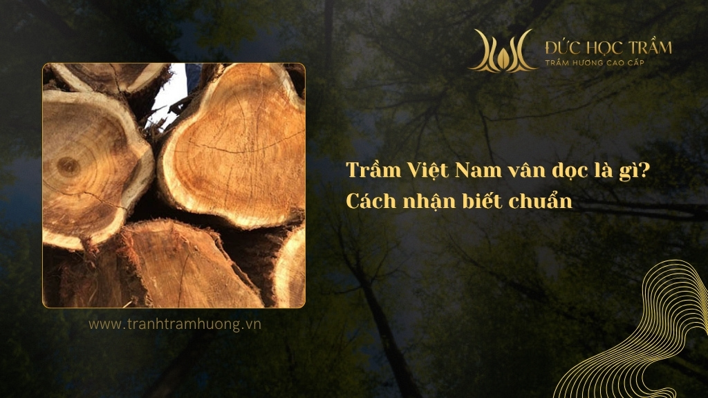 Trầm Việt Nam vân dọc là gì? Nhận biết chuẩn từ vân, hương đến độ dầu