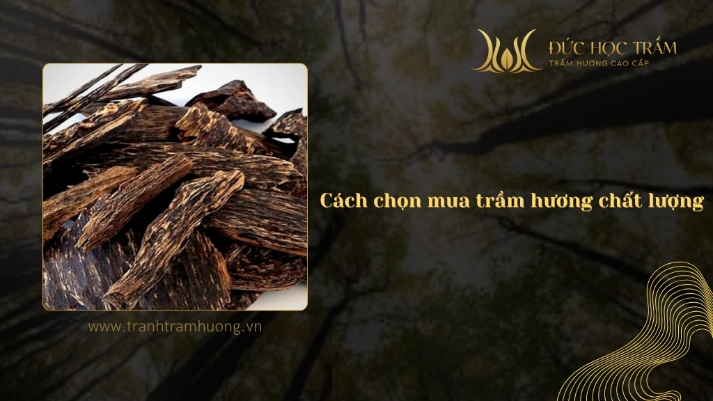 Cách chọn mua trầm hương chất lượng - 4 tiêu chí quan trọng cần biết 