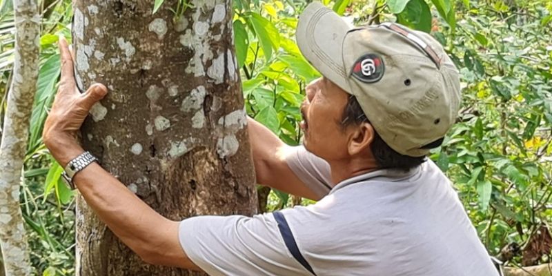 Chuẩn bị đúng kỹ thuật giúp tăng tỷ lệ tạo trầm thành công