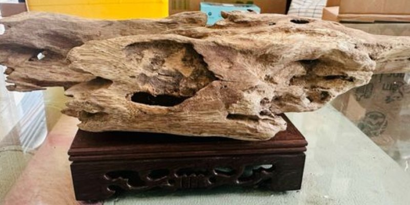 Dòng trầm mang giá trị thưởng hương và sưu tầm cao 