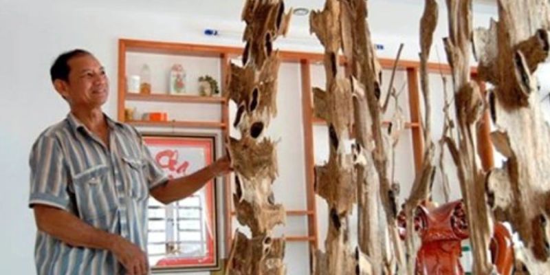 Mô hình tạo nguồn lợi nhuận cao và bền vững lâu dài