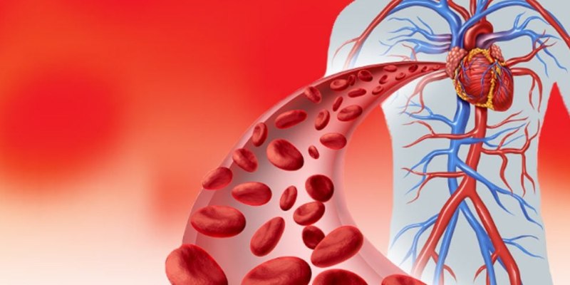 Tính ấm của trầm giúp cơ thể dễ chịu hơn