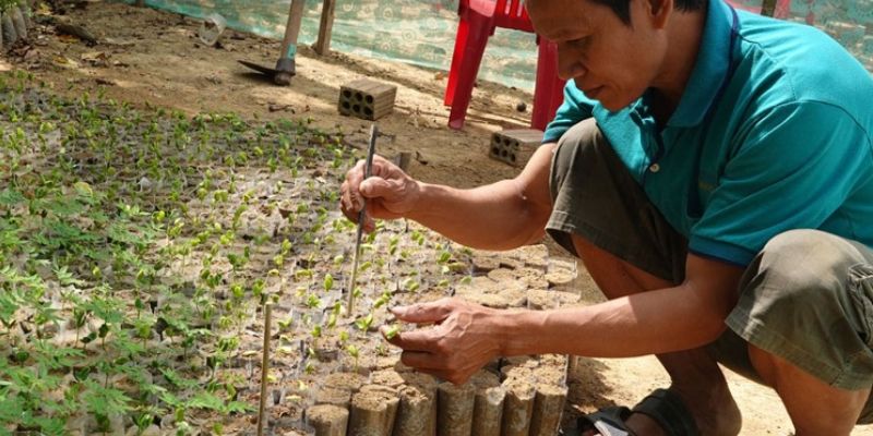 Phương pháp chủ động tạo trầm bằng kỹ thuật hiện đại