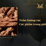 Trầm hương rục – Cực phẩm trong giới chơi trầm
