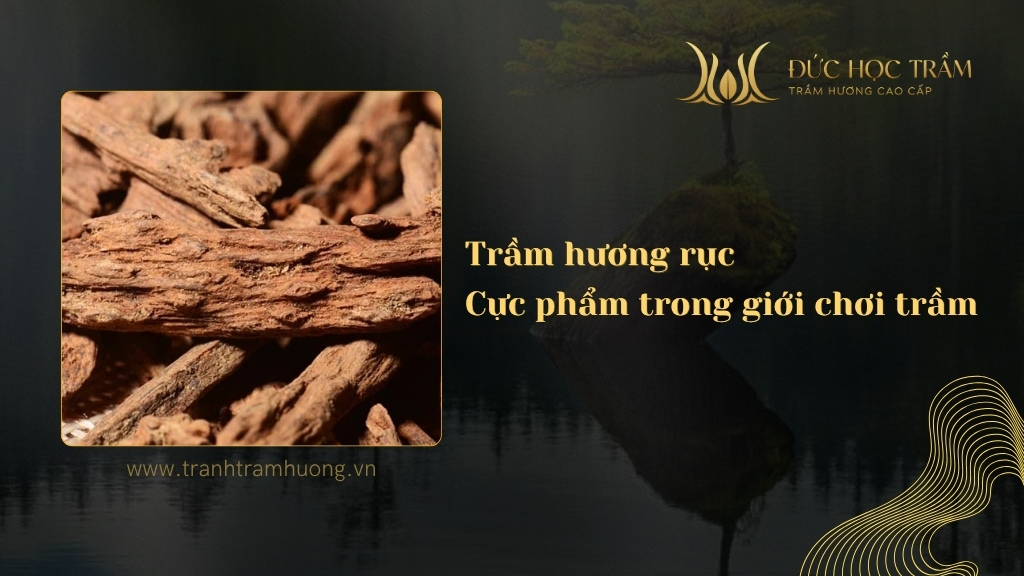 Trầm hương rục – Cực phẩm trong giới chơi trầm