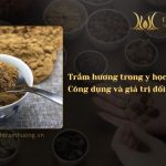 Trầm hương trong y học - Công dụng và giá trị đối với sức khỏe