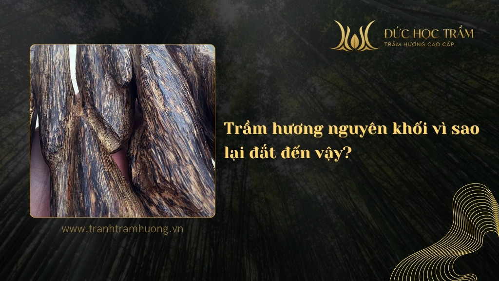 Trầm hương nguyên khối vì sao lại đắt đến vậy?